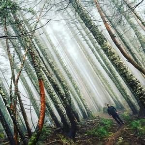 Meet your Posher, Kevin